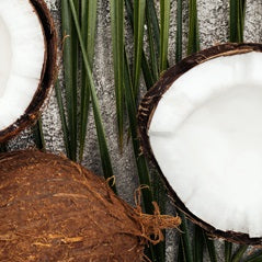 Does it matter if my MCT oil came from Coconut oil or Palm Kernel oil?