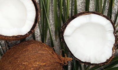 Does it matter if my MCT oil came from Coconut oil or Palm Kernel oil?